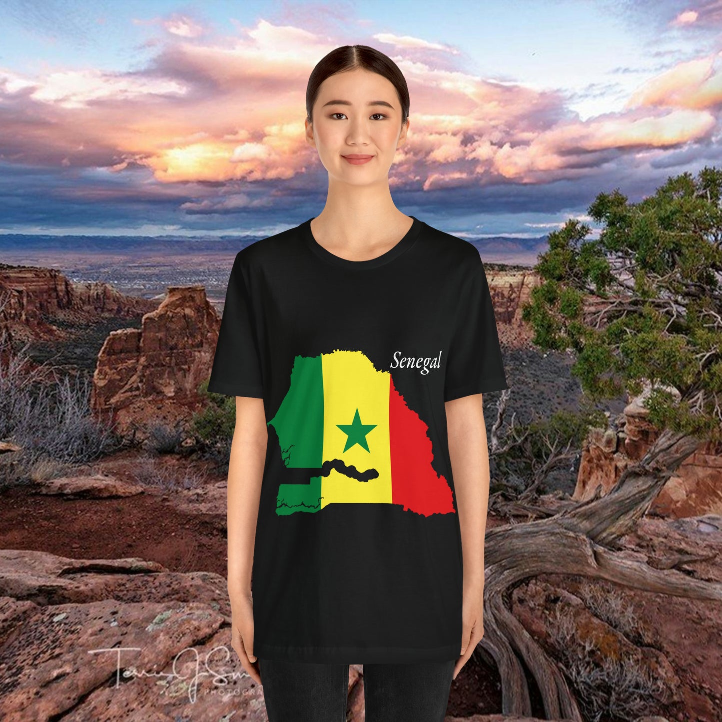 African Pride Senegal Unisex Jersey T-Shirt