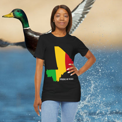 African Pride Mali Unisex Jersey T-Shirt